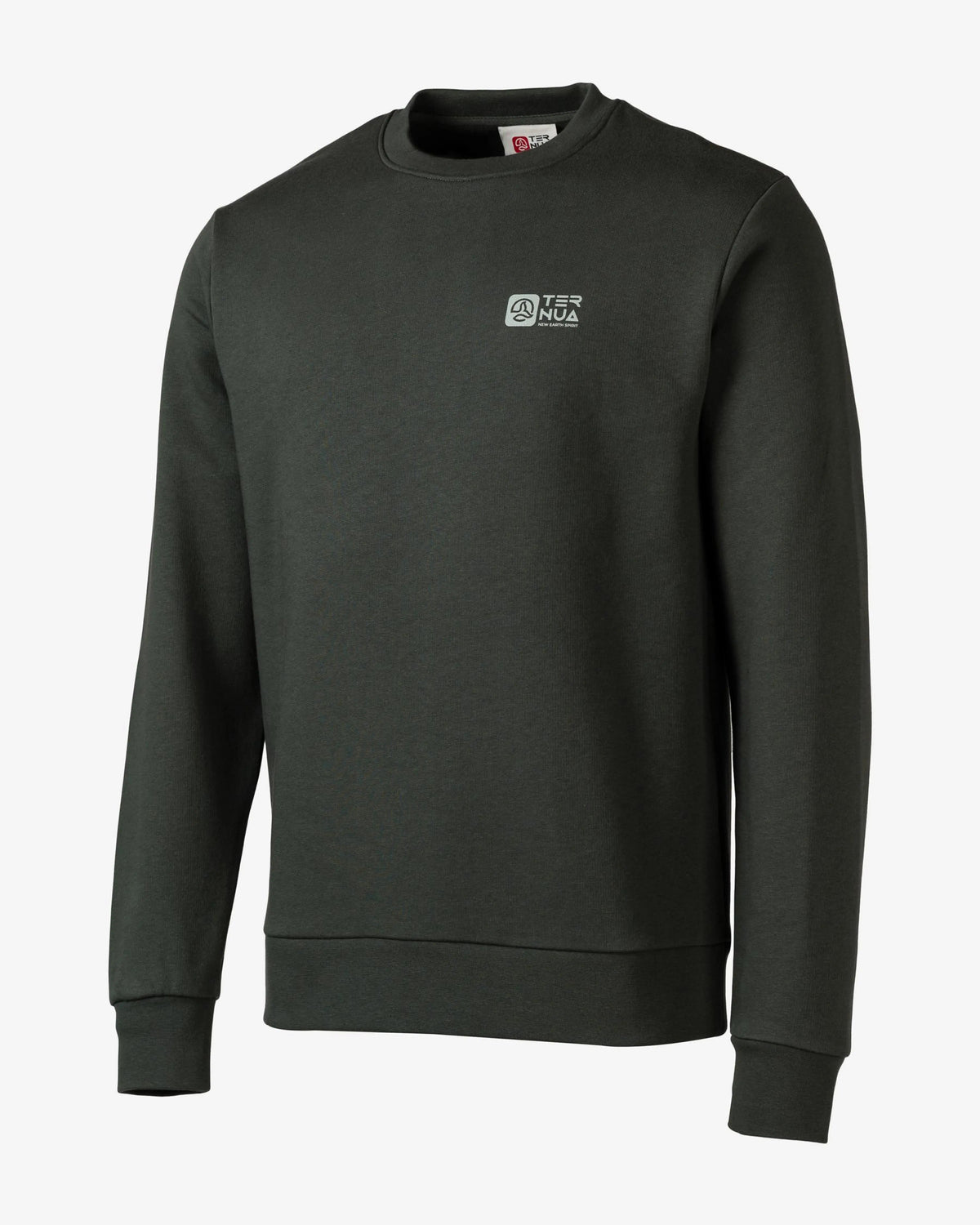 SUDADERA C/CAJA LISA TERNU SR 1