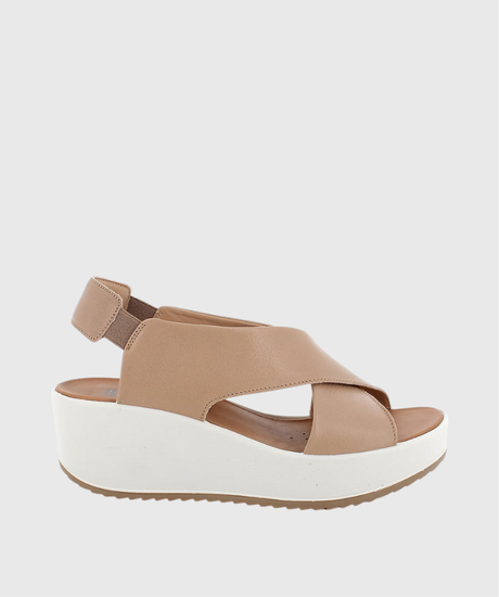 56688 D.CANDY IGI&amp;CO 1