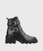 5326 BOTA ALPE 1