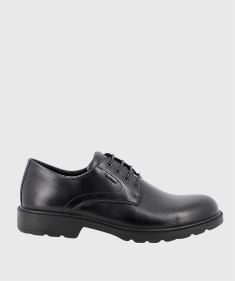 66044 GTX IGI&amp;CO 1