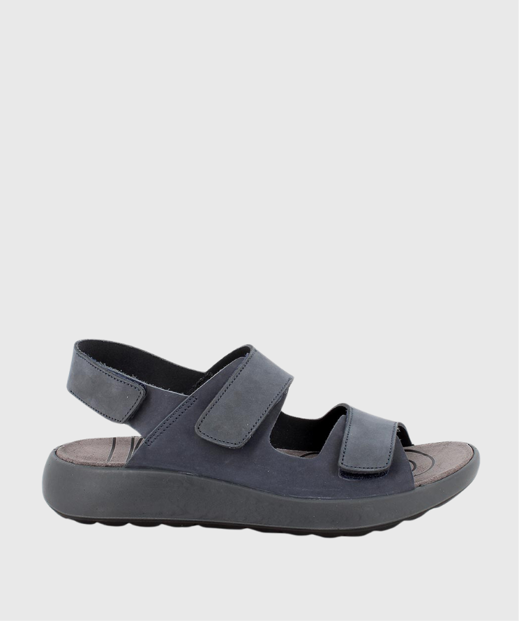 76480 PALMERA IGI&amp;CO 1