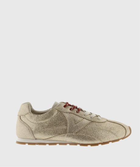 ASTER 1159102 VICTORIA 1