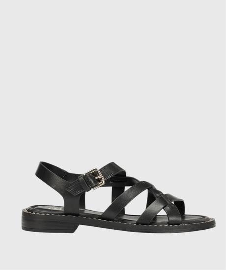 D9730 HEGOA FLUCHOS 1