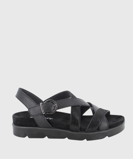DELANI 1167400 IGI&amp;CO 1