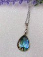Collar concha natural 1