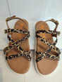 Sandalias de transicion Animal print c/63 1