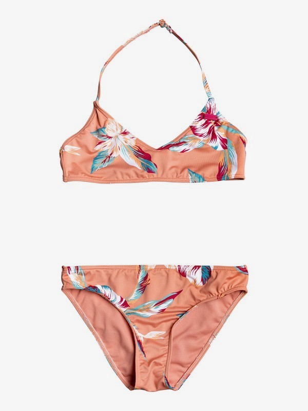 Bikini Roxy Top Triangulo 1