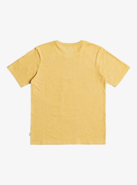 Camiseta Quiksilver Niño 2