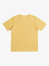 Camiseta Quiksilver Niño 2