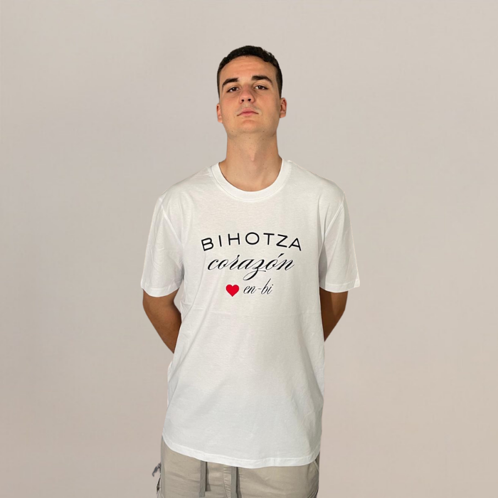 Camisetas chico 5