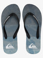 Chancla Dedo Quiksilver 1