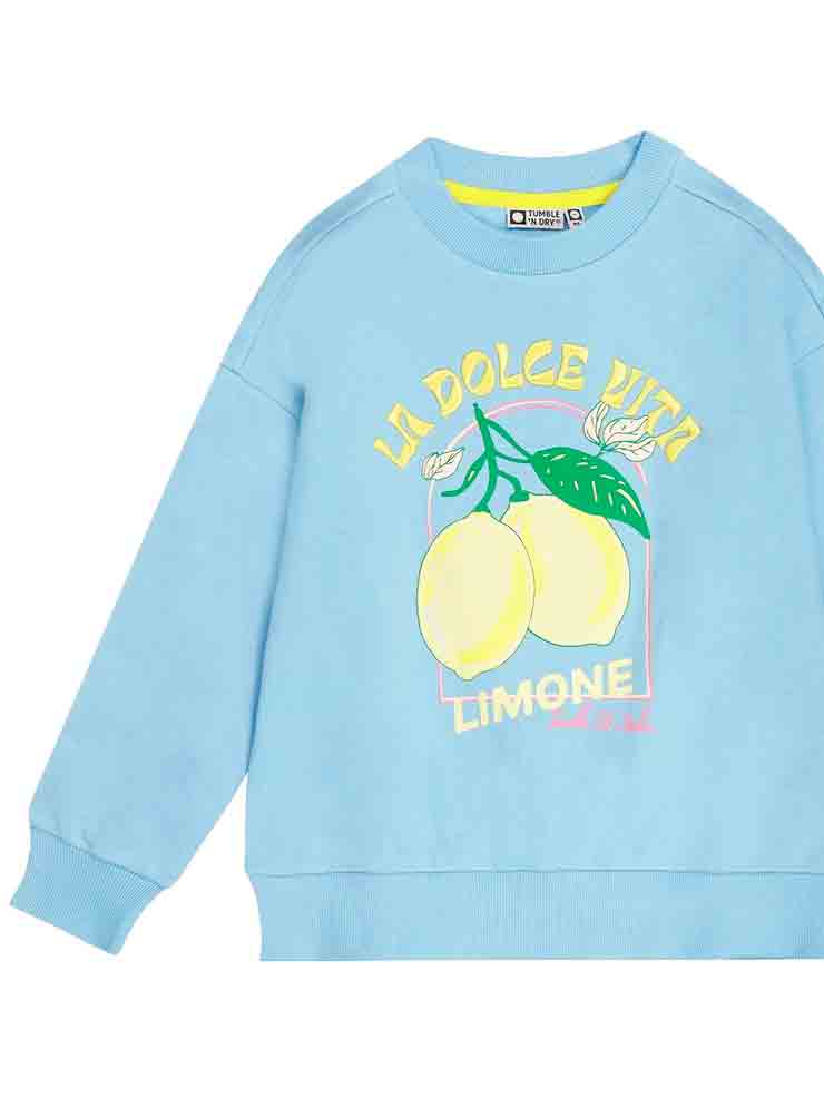 SUDADERA AZULÓN BORDADA NIÑA TUMBLE´N DRY 1