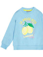 SUDADERA AZULÓN BORDADA NIÑA TUMBLE´N DRY 1
