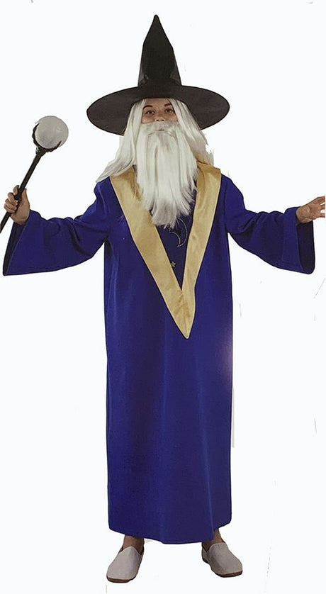 Disfraz Mago Merlin Infantil Niño 1
