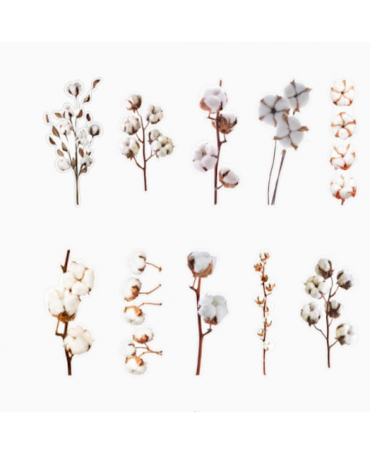 Stickers Transparentes Retro Flor Algodón 20ud 1