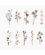 Stickers Transparentes Retro Flor Algodón 20ud 1