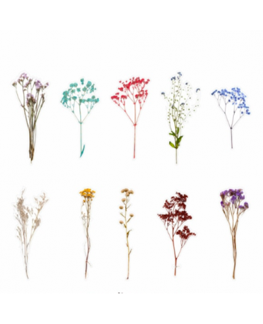 Stickers Transparentes Retro Flor Seca mix 20ud 1