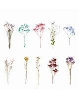 Stickers Transparentes Retro Flor Seca mix 20ud 1