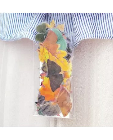 Stickers Transparentes Retro Hojas otoño 20ud 1