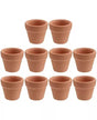 Maceta Mini Terracota 3,5cm 1ud 1