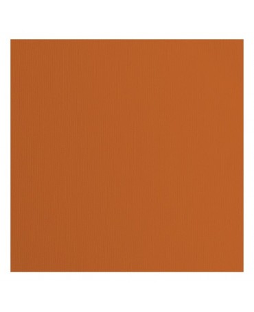 CARTULINA TEXTURE 30.5x30.5cm Fox 1