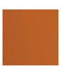 CARTULINA TEXTURE 30.5x30.5cm Fox 1