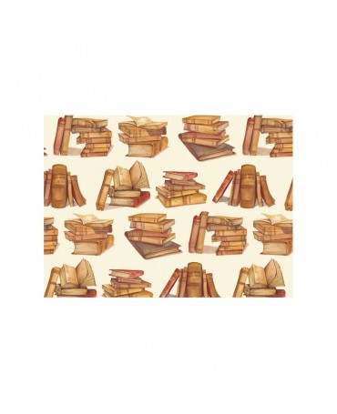PAPEL ENCUADERNAR ROSSI Books 70x50cm 2 ud 2