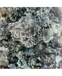 Seta Funghi Navy 100g 1