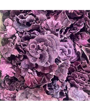 Seta Funghi Burdeos 100g 1