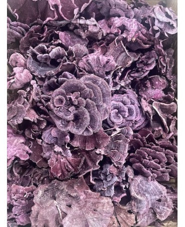 Seta Funghi Burdeos 100g 2