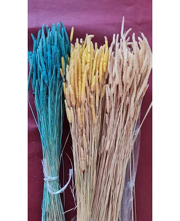 Ramo Phleum preservado naranja 1