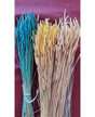 Ramo Phleum preservado naranja 1