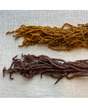 Rama Amaranthus preservado Mostaza 1