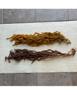 Rama Amaranthus preservado Mostaza 2