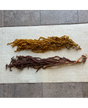 Rama Amaranthus preservado Marrón 1