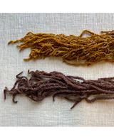 Rama Amaranthus preservado Marrón 2