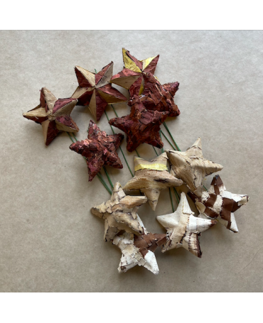 Estrella Corteza Natural 9cm 1ud 1