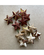 Estrella Corteza Natural 9cm 1ud 1