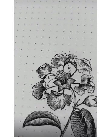 CUADERNO Vintage Notebook con ilustraciones botánicas de Raquel Burillo Scrapcosy 2