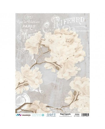 Papel Arroz Seda JAPONÉS A3 Flor Blanca Riffard 1