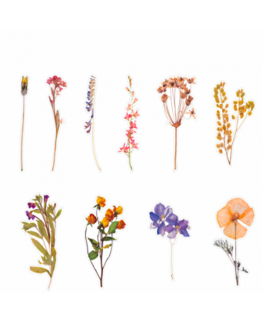 Stickers Transparentes Retro Flor mix 20ud 1
