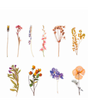 Stickers Transparentes Retro Flor mix 20ud 1