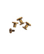 Tornillos Encuadernación Old gold Nr.02 1