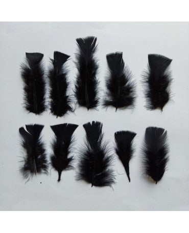 PLUMAS Negras pack 10ud 1