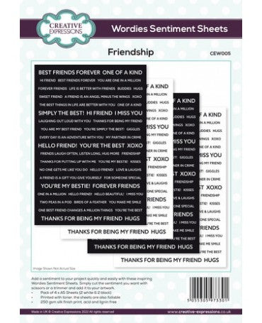 Stickers Wordies Sentiment Amistad (4 ud) 1
