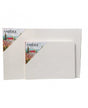 Lienzo 15M 65x46 1