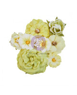 FLORES PRIMA Flowers Postales de Paradise April Showers (8 piezas) 2