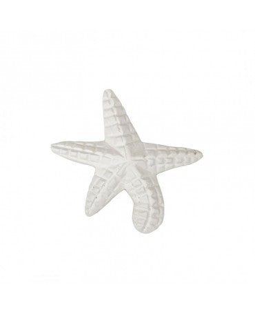 Resina Estrella de mar pequeña 1