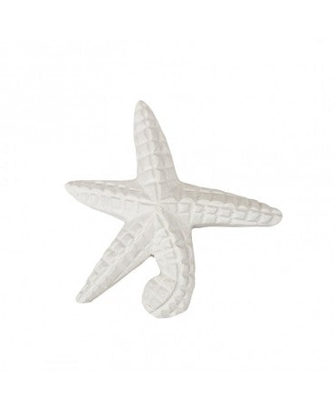 Resina Estrella de mar mediana 1