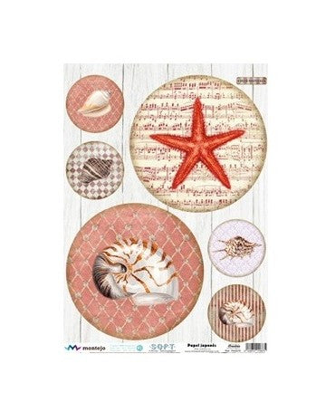 Papel Arroz Seda JAPONÉS SOFT A3 CONCHAS 1 1